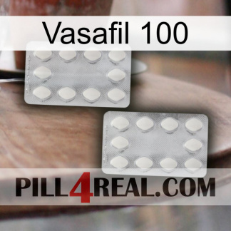 Vasafil 100 17